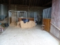 boxes-pistes-carrieres-manege-installations-2