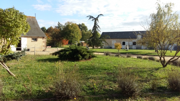 boxes-pistes-carrieres-manege-installations-1