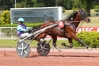SYNDICATION-DE-JAGUAR-WIT-1