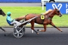 SYNDICATION-HANDY-BOURBON-2