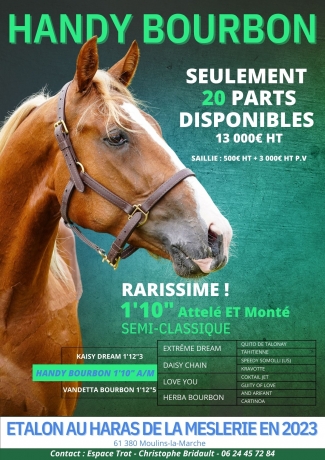 SYNDICATION-HANDY-BOURBON-0