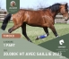 PART-DE-TIMOKO-0