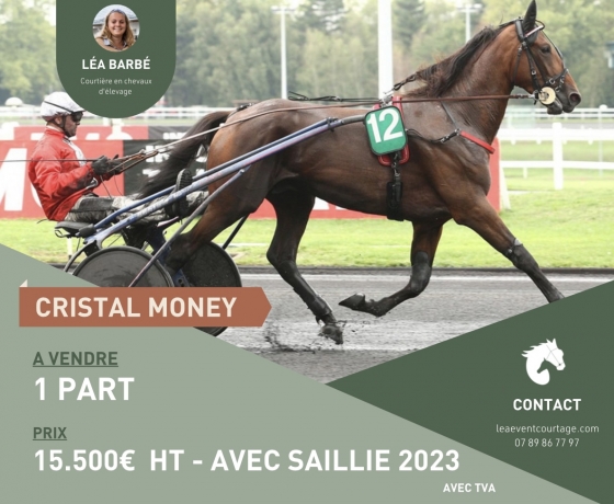 PART-DE-CRISTAL-MONEY-0
