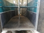 VANS-IFOR-WILLIAM-0