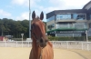 A-vendre-pouliniere-1
