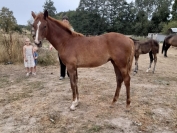 vends-deux-m-et-une-l-petits-prix