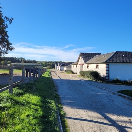Location-centre-entrainement-trotteurs-2