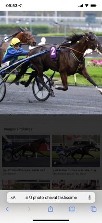 Part trotteur a vendre discount