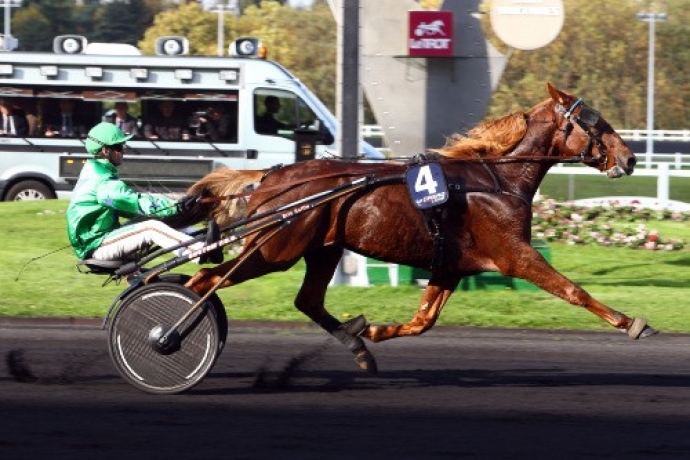 Saillies-remisees-pour-2023-0