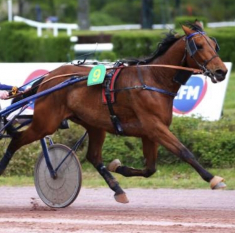 Vend-E--77000-euros-de-gains--Record-1---13-a-Vincennes--a-debattre