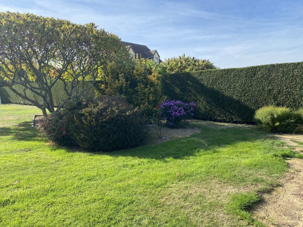 Entretien-espace-vert