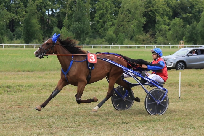 Icone-du-loir