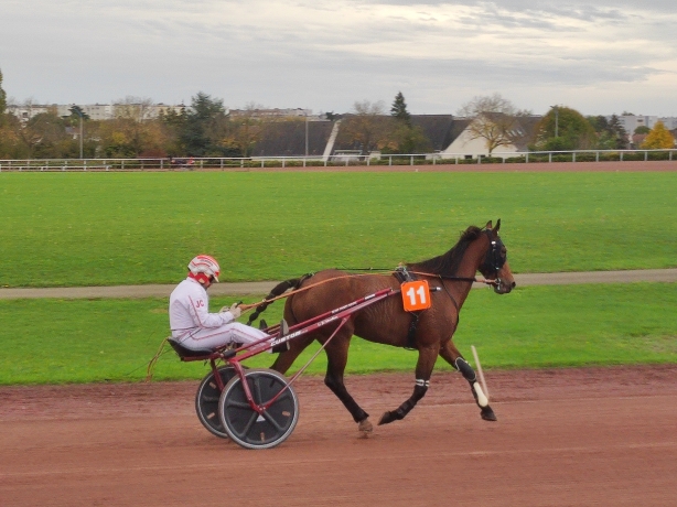 Cherche-a-louer
