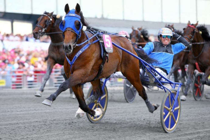 Saillie-TIMOKO-0