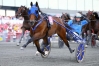 Saillie-TIMOKO-0