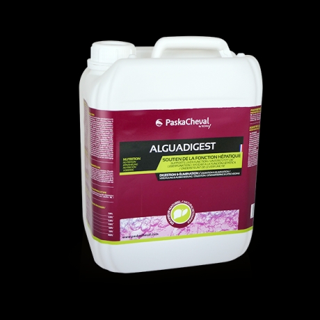 ALGUA-DIGEST-0