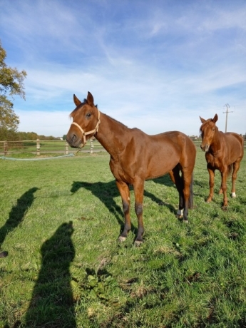 Vends-Jiquem-Narcy