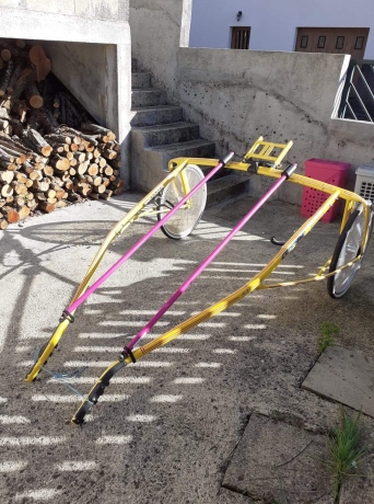 Sulky-de-course-Custom