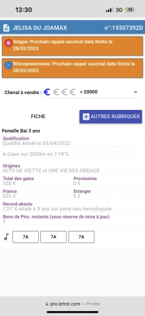 Jelisa-du-joamax-(par-Alto-de-viette)-1