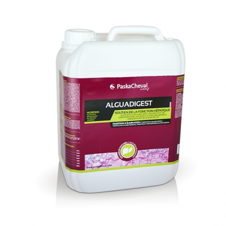 ALGUA-DIGEST--SOUTIEN-DE-LA-FONCTION-Ha‰PATIQUE