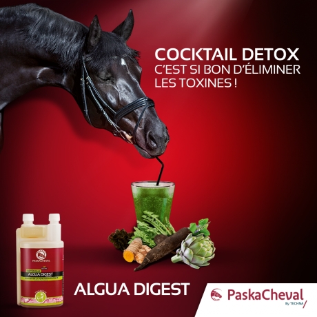 ALGUA-DIGEST--SOUTIEN-DE-LA-FONCTION-Ha‰PATIQUE-0
