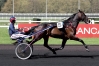 Plusieurs-saillies-sans-tva-0