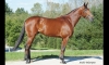 Saillie-BALTIC-CHARM-0