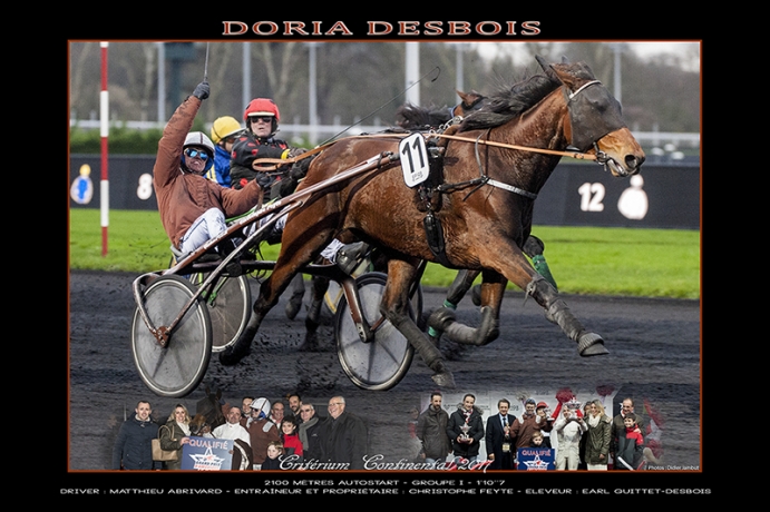 Pouliniere-venant-de-perdre-son-foal--disponible-dans-la-Sarthe--1