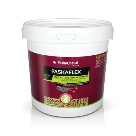 PASKAFLEX--SOUTIEN-LES-ARTICULATIONS