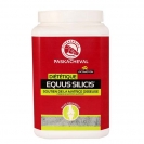 EQUUS-SILICIS--SOUTIEN-DE-LA-MATRICE-OSSEUSE