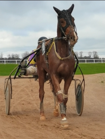 Kanak-de-felliere