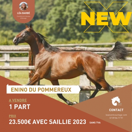 PART-ENINO-DU-POMMEREUX-SANS-TVA-0