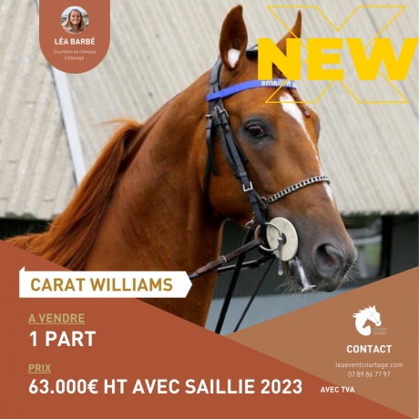 PART-DE-CARAT-WILLIAMS-AVEC-SAILLIE-2023-0