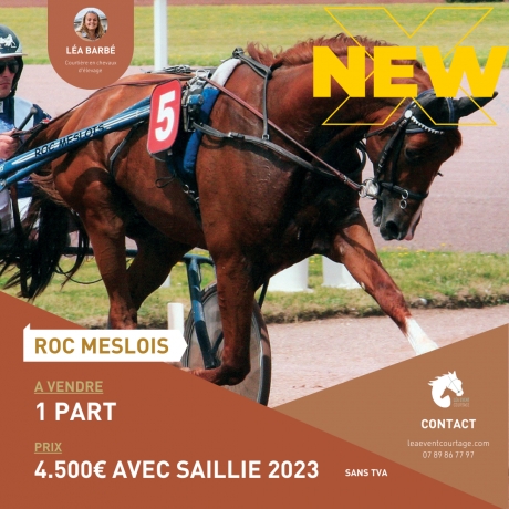 PART-DE-ROC-MESLOIS-AVEC-SAILLIE-2023