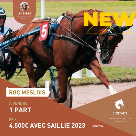 PART-DE-ROC-MESLOIS-AVEC-SAILLIE-2023-0