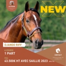 Part-de-django-riffavec-saillie-2023
