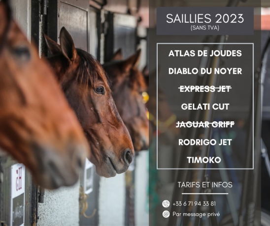 Saillies-2023-(sans-TVA)-0