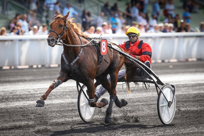 a-vendre-part-de-l---etalon-CLASSIC-WAY-0