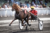a-vendre-part-de-l---etalon-CLASSIC-WAY-0