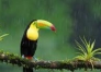 Test-by-Nidhi-2