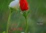 Test-by-Nidhi-6-Desc-1