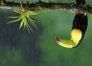 Test-by-Nidhi-6-Desc-0