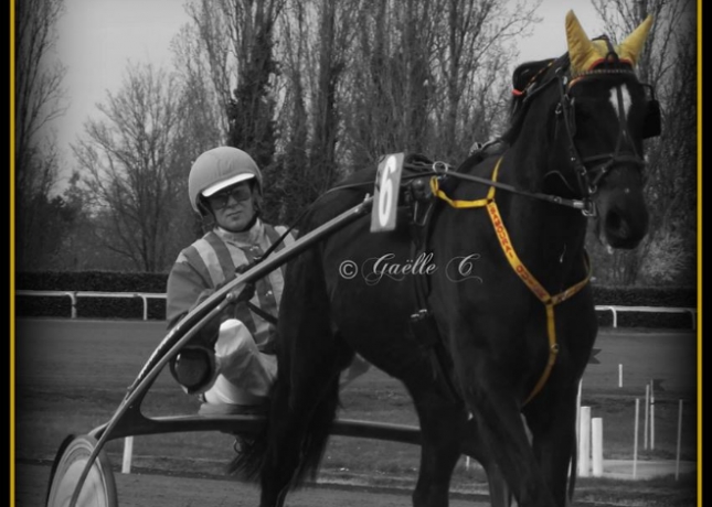 ENTRAINEUR-TROT-SUD-OUEST-2