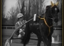 ENTRAINEUR-TROT-SUD-OUEST-2