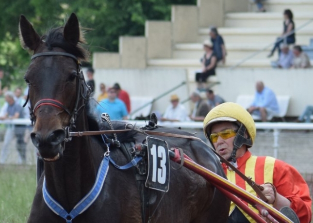 ENTRAINEUR-TROT-SUD-OUEST