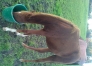 25-pourcent-pouliche-Hooker-Berry-2