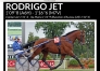 A-vendre-saillie-de-Rodrigo-jet-0
