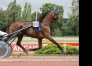 Saillie-gratuite-0