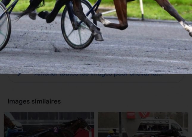 PART-D-ETALON-DE-FASTISSIME-0