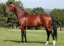 Echange-Saillie-Severino-2023-0